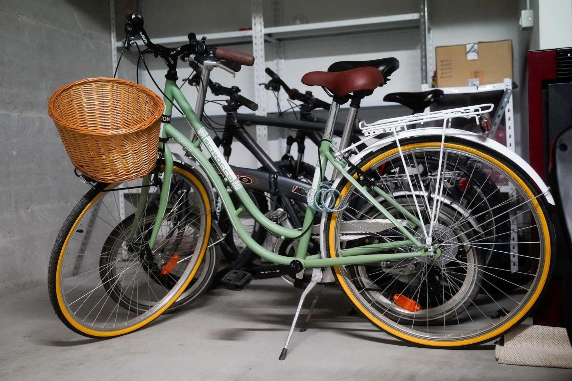 Dandelion Apartment Rovinj-Free Bikes Ngoại thất bức ảnh