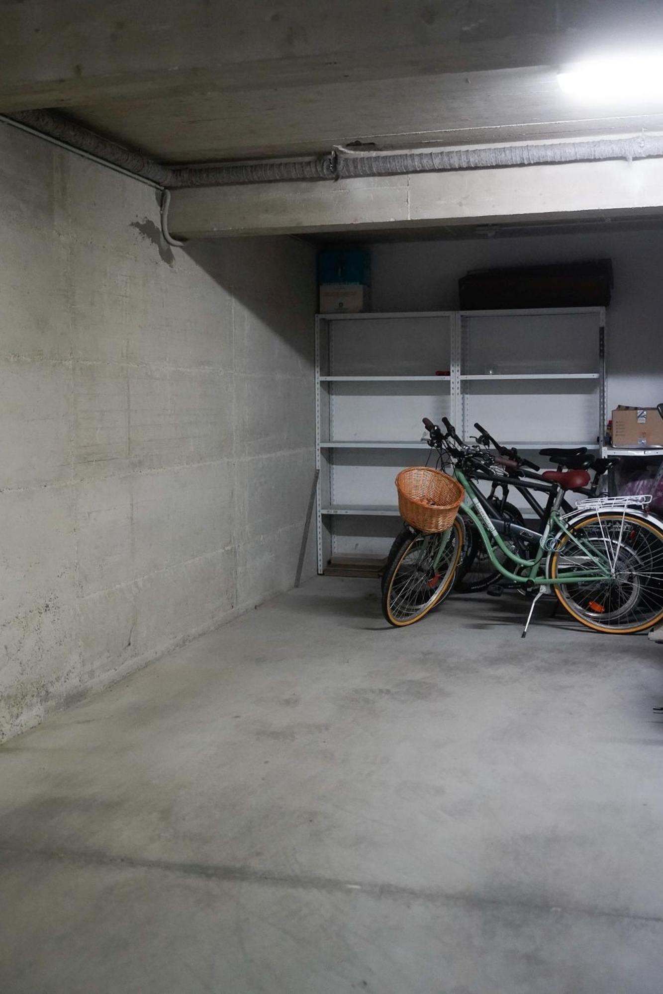 Dandelion Apartment Rovinj-Free Bikes Ngoại thất bức ảnh