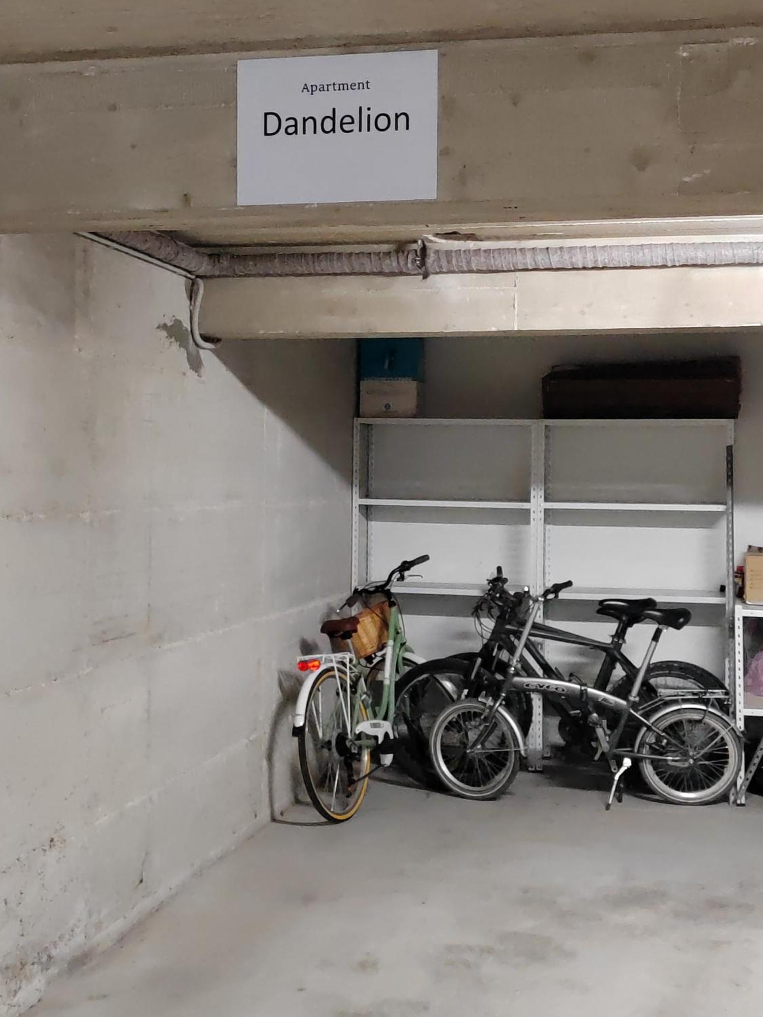 Dandelion Apartment Rovinj-Free Bikes Ngoại thất bức ảnh